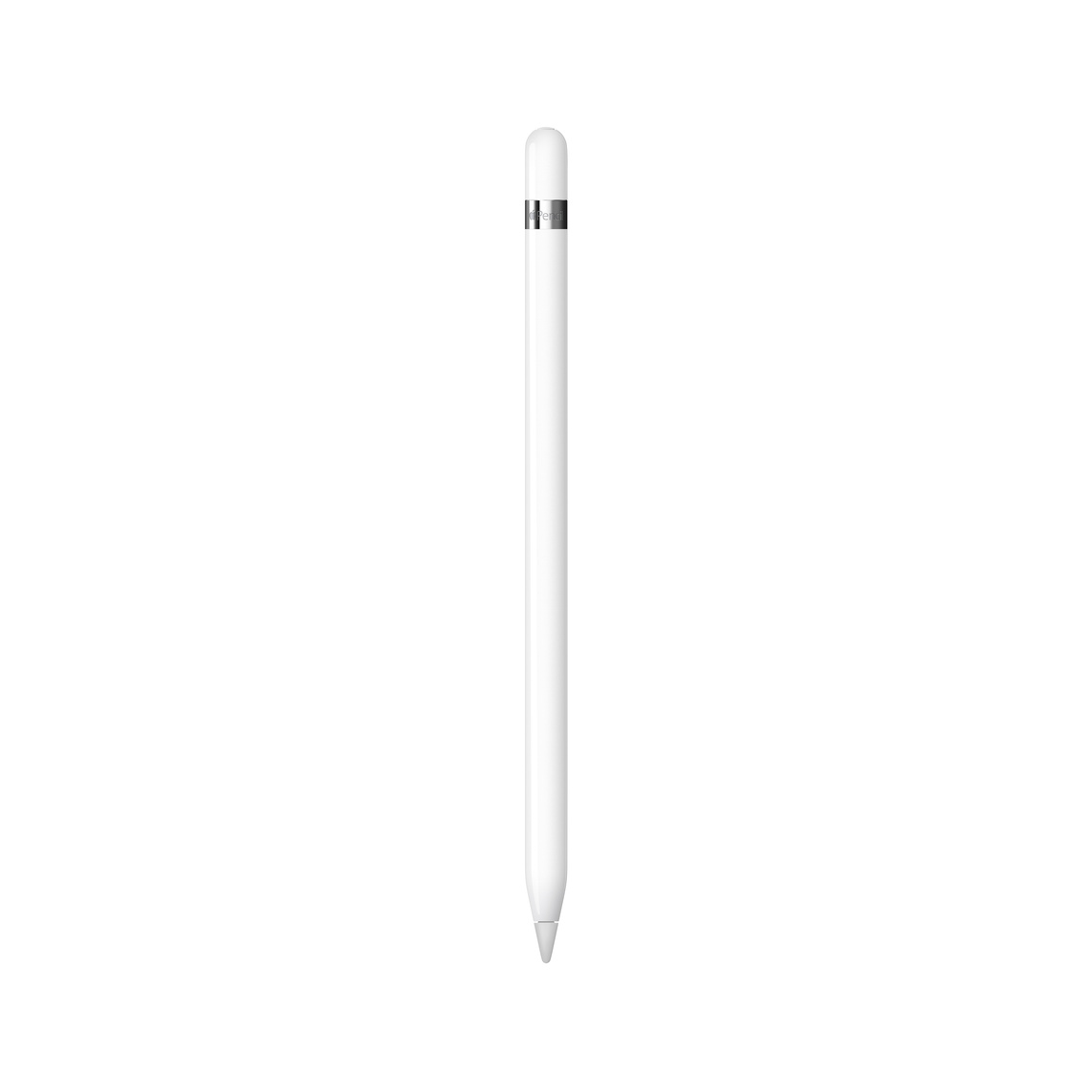 Apple Pencil (1ª New  USB-C )